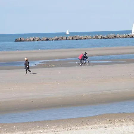 Апартаменты Royal Navy